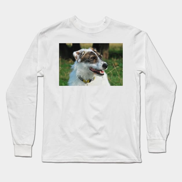 Harry the rescue crossbreed dog out on a walk Long Sleeve T-Shirt by jamesknightsart